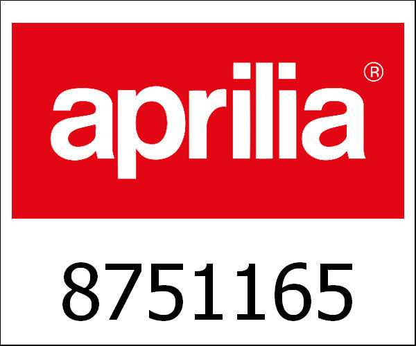 APRILIA / アプリリア純正 Uitlaat|8751165
