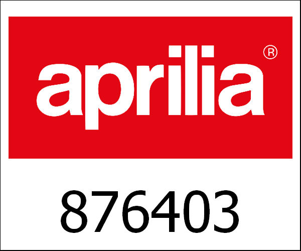 APRILIA / アプリリア純正 Vlakke Rondel|876403