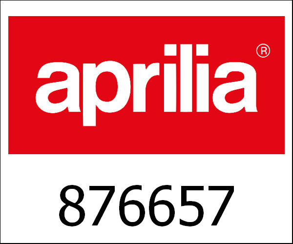APRILIA / アプリリア純正 Plaat|876657