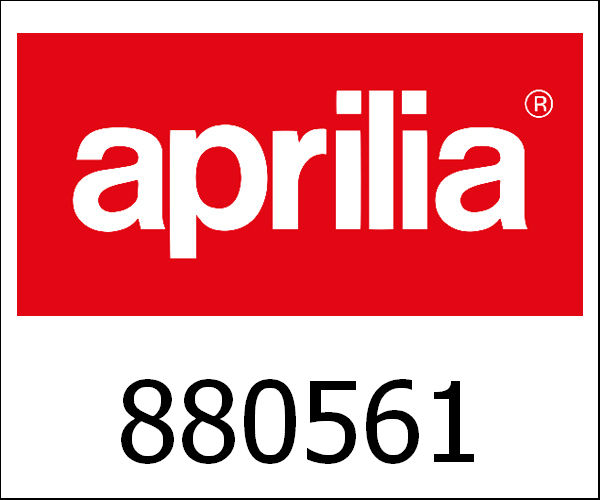APRILIA / アプリリア純正 Cilinder + Zuiger Compleet 300Cc|880561