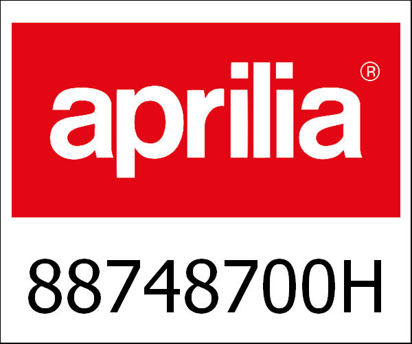 APRILIA / アプリリア純正 Rear Mudguard|88748700H8