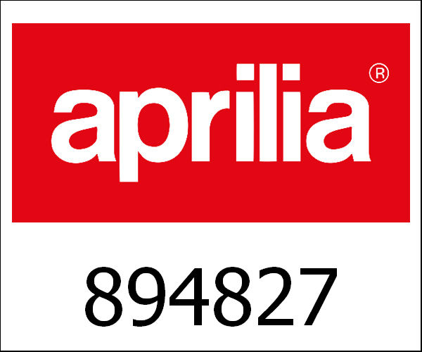 APRILIA / アプリリア純正 Plug|894827