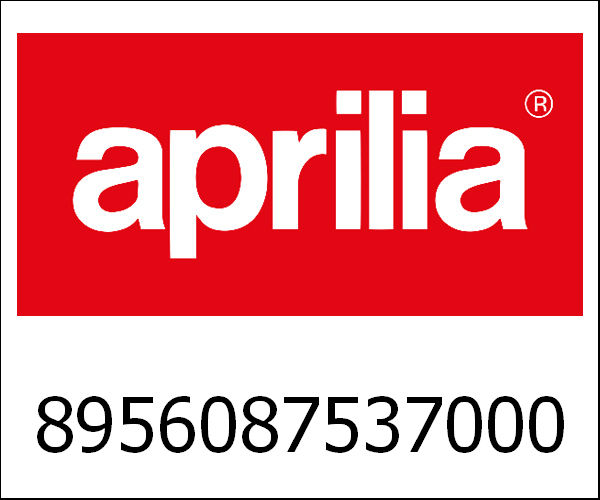 APRILIA / アプリリア純正 Computer|8956087537000