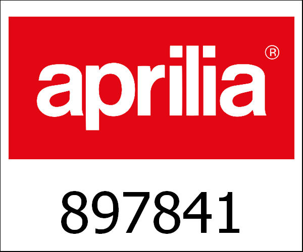 APRILIA / アプリリア純正 Fuel Tank|897841
