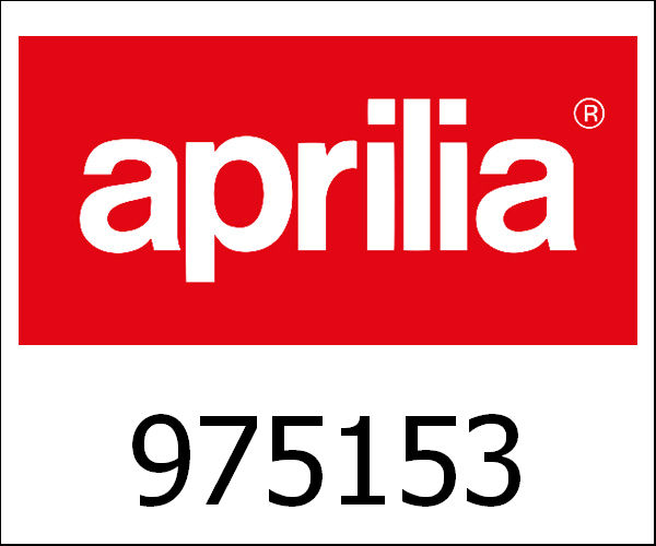 APRILIA / アプリリア純正 Benzinetank M35|975153