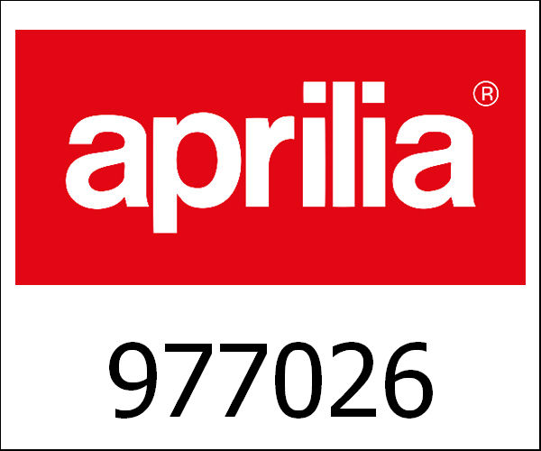 APRILIA / アプリリア純正 Dashboard Complete|977026