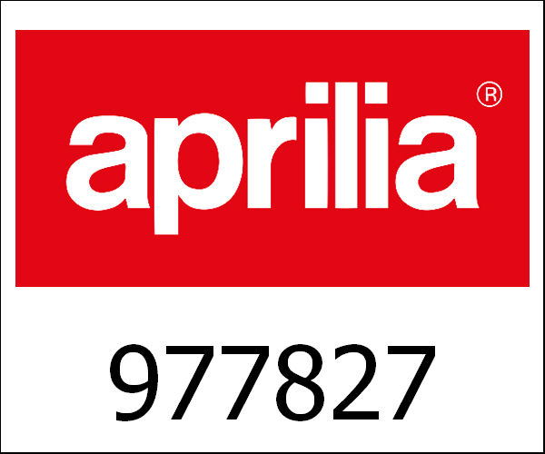 APRILIA / アプリリア純正 Front Fork|977827