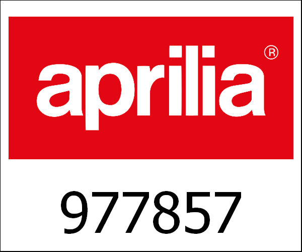 APRILIA / アプリリア純正 Complete Dashboard|977857