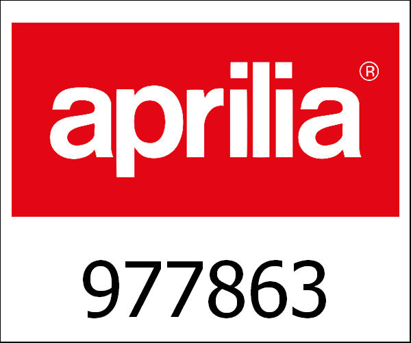 APRILIA / アプリリア純正 Gas Fastener|977863