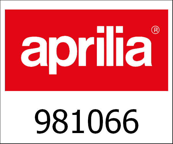 APRILIA / アプリリア純正 Norge Bags Washer|981066