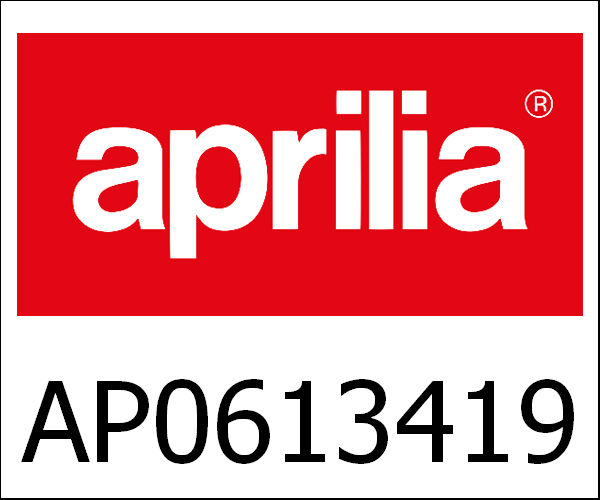 APRILIA / アプリリア純正 Cylinder With Piston|AP0613419