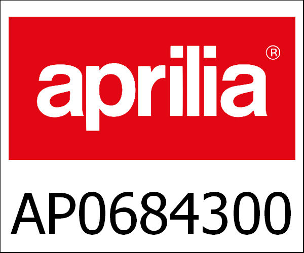 APRILIA / アプリリア純正 Ignition Unit and Sprag Clutch|AP0684300