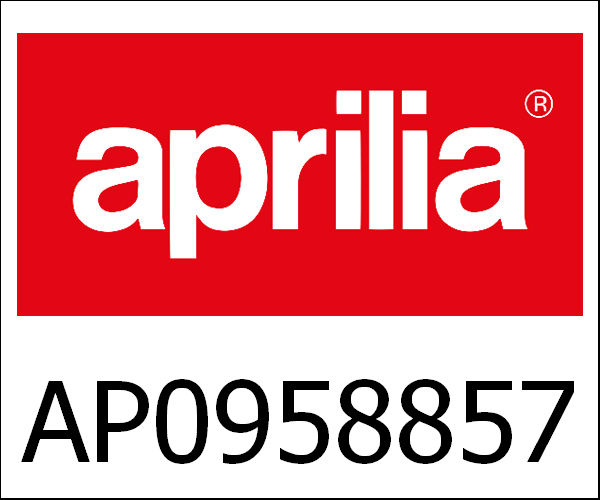 APRILIA / アプリリア純正 Sprag Clutch|AP0958857