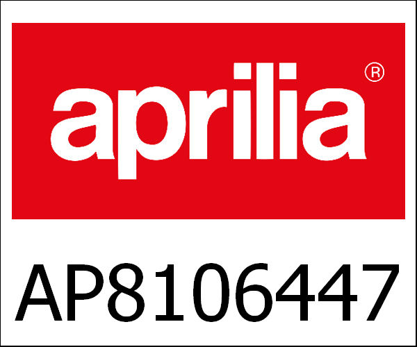 APRILIA / アプリリア純正 Kit Valvola Rave Completa|AP8106447