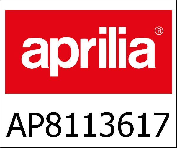 APRILIA / アプリリア純正 Front Brake Pump|AP8113617