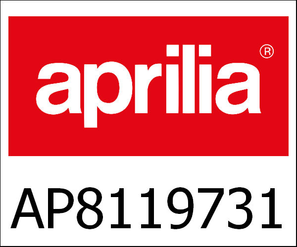 APRILIA / アプリリア純正 Dashboard Complete|AP8119731