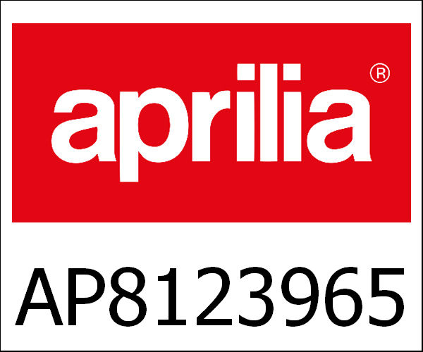 APRILIA / アプリリア純正 Front Fork|AP8123965