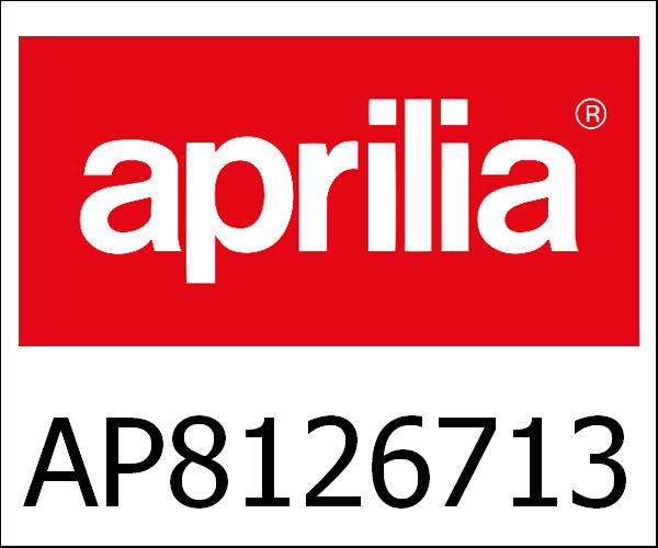 APRILIA / アプリリア純正 Rear Splash Guard, Grey|AP8126713