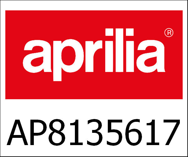 APRILIA / アプリリア純正 Footrest Support Plate|AP8135617