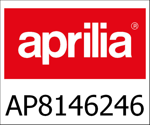 APRILIA / アプリリア純正 Instrum.Holder Frame|AP8146246