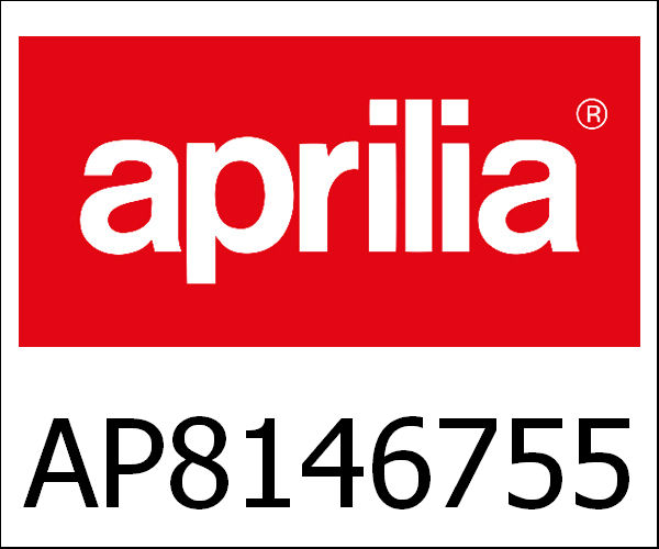 APRILIA / アプリリア純正 Instrum.Holder Frame|AP8146755