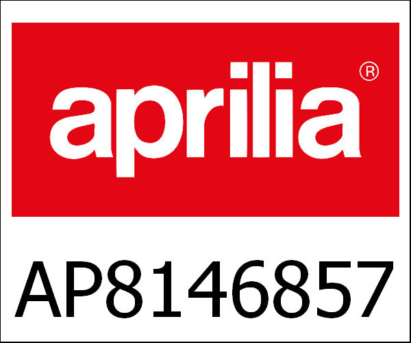 APRILIA / アプリリア純正 Brake Hanger Plate|AP8146857