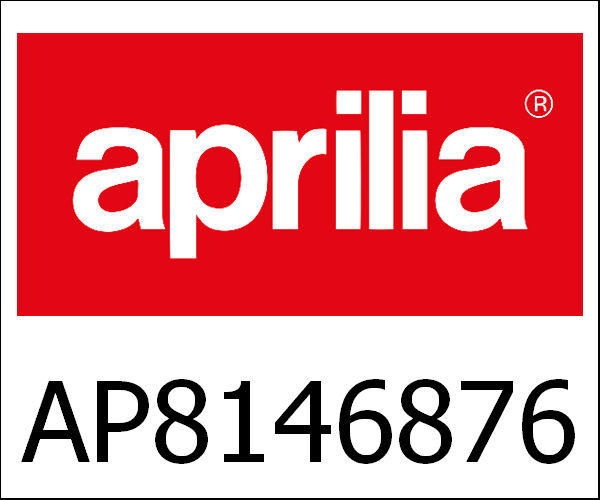 APRILIA / アプリリア純正 Swing Arm|AP8146876