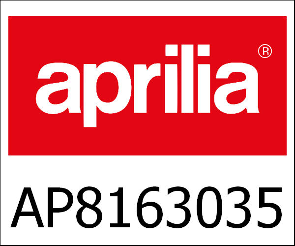 APRILIA / アプリリア純正 Front Fork|AP8163035