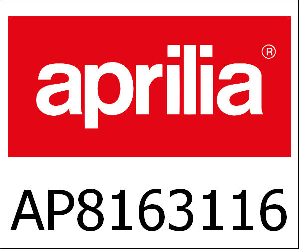 APRILIA / アプリリア純正 Front Fork|AP8163116