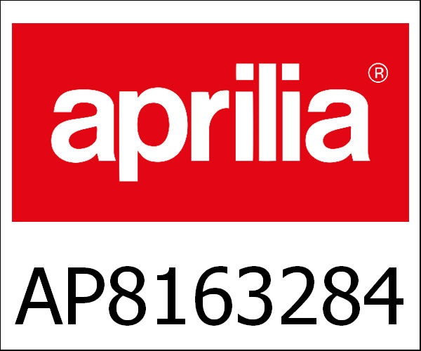 APRILIA / アプリリア純正 Front Fork|AP8163284