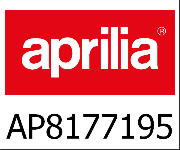 APRILIA / アプリリア純正 Carbon Filter Sticker|AP8177195