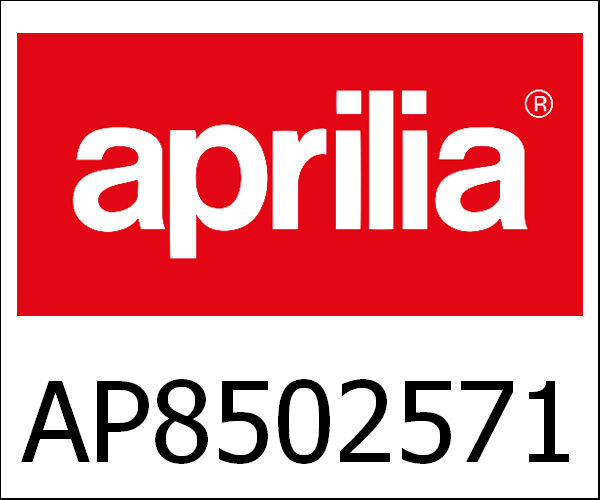 APRILIA / アプリリア純正 Screw M6X55|AP8502571