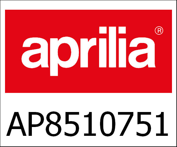 APRILIA / アプリリア純正 Automatic Starter Cpl.|AP8510751