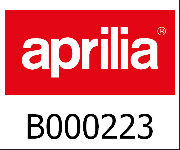 APRILIA / アプリリア純正 Fixed Body Complete Side Board Rh|B000223