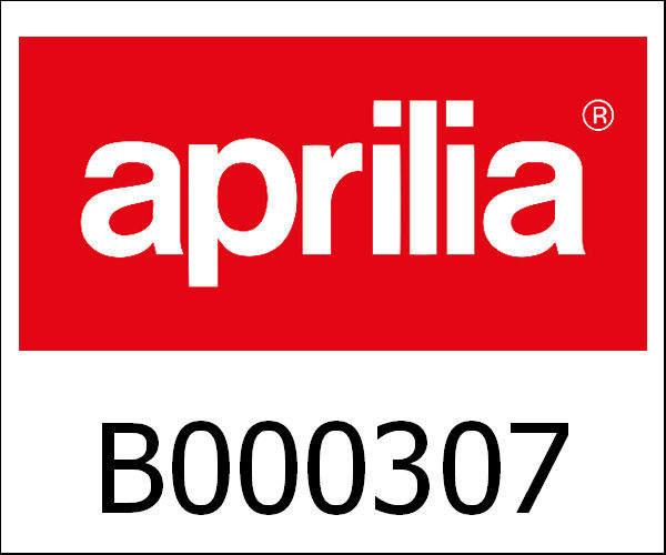 APRILIA / アプリリア純正 Back Board For Fixed Body|B000307