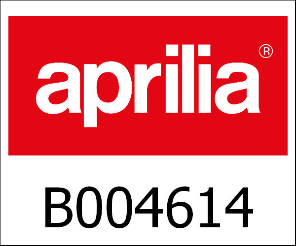 APRILIA / アプリリア純正 Label "Maxxi" Rh Door|B004614