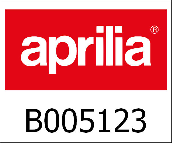 APRILIA / アプリリア純正 Gate Assy Rr Body, Tail|B005123