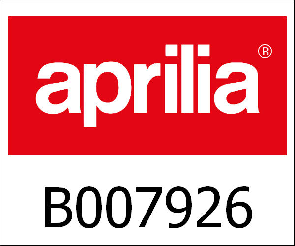 APRILIA / アプリリア純正 Rear Frame, Tank (D=273)|B007926