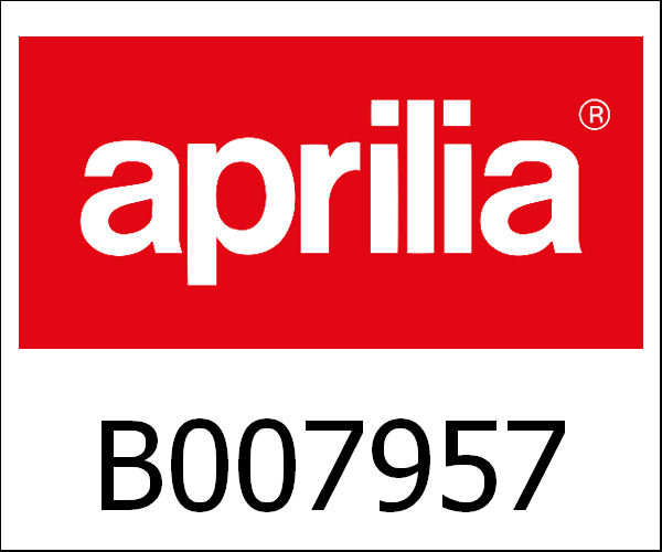 APRILIA / アプリリア純正 Control Unit Ecu Sequent PandD Aries Cng|B007957