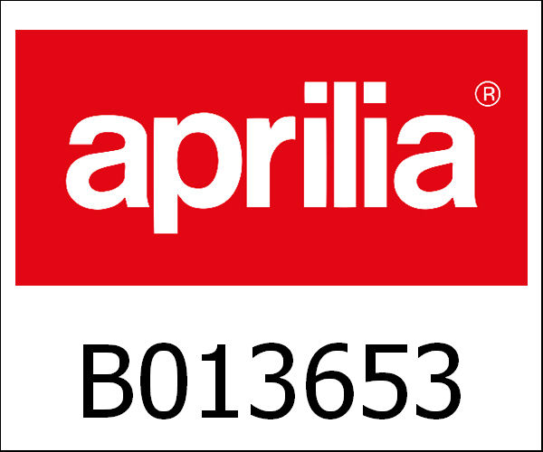 APRILIA / アプリリア純正 Stator Plate Containment Cables|B013653