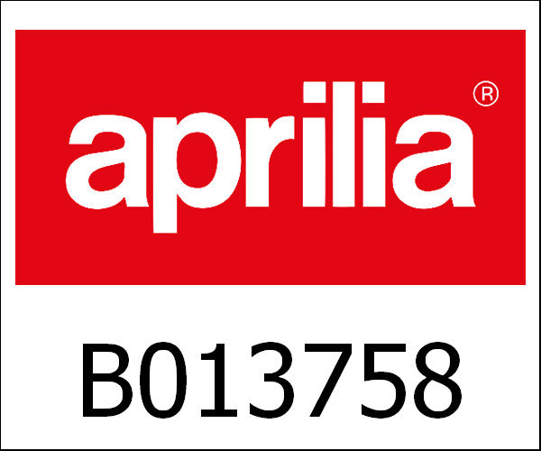 APRILIA / アプリリア純正 Cylinder-Piston-Gudgeon Pin-Ciclips Gro|B013758