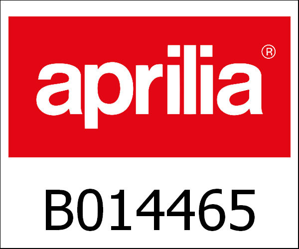 APRILIA / アプリリア純正 Uitlaat|B014465