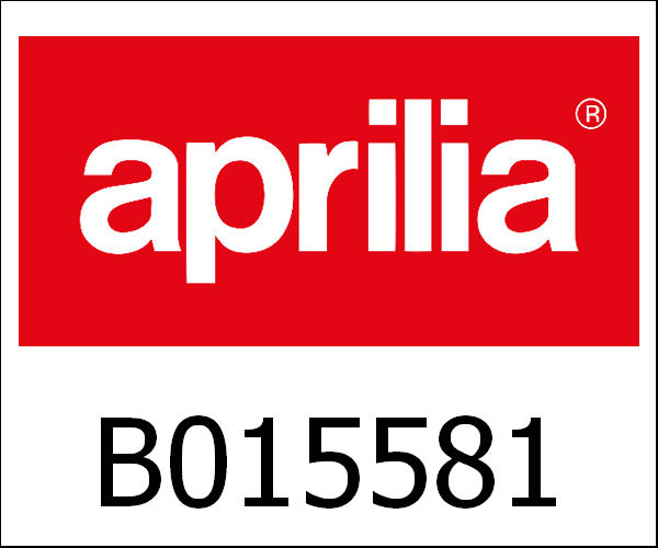 APRILIA / アプリリア純正 Oil Pump Pad|B015581