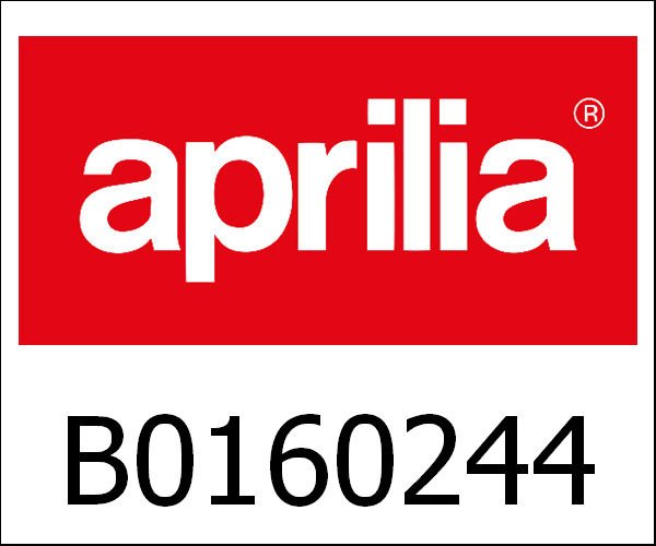APRILIA / アプリリア純正 Uitlaat Kat|B0160244