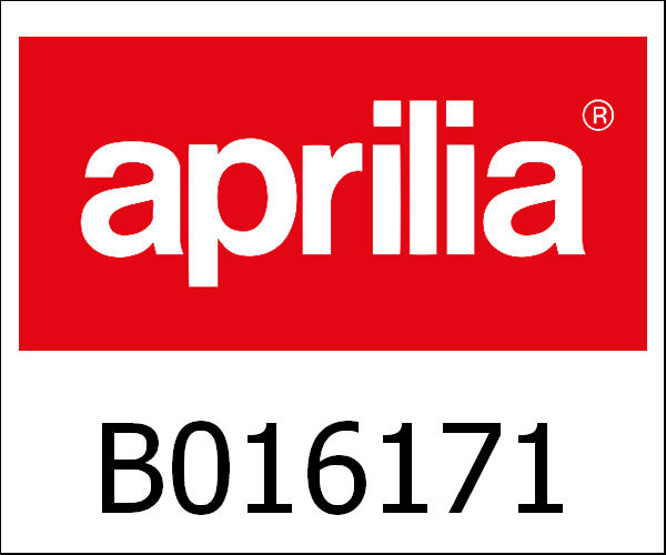 APRILIA / アプリリア純正 Complete Differential Gear|B016171