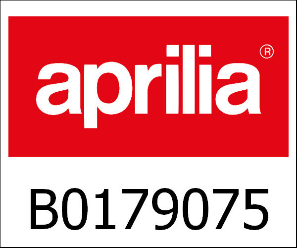 APRILIA / アプリリア純正 Cam Axle|B0179075