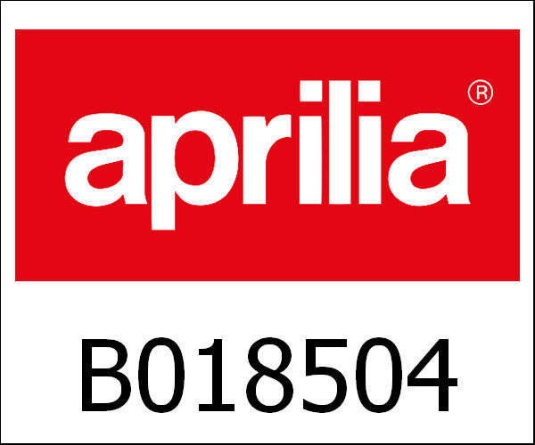 APRILIA / アプリリア純正 Cylinder + Zuiger Piaggio Master 400|B018504