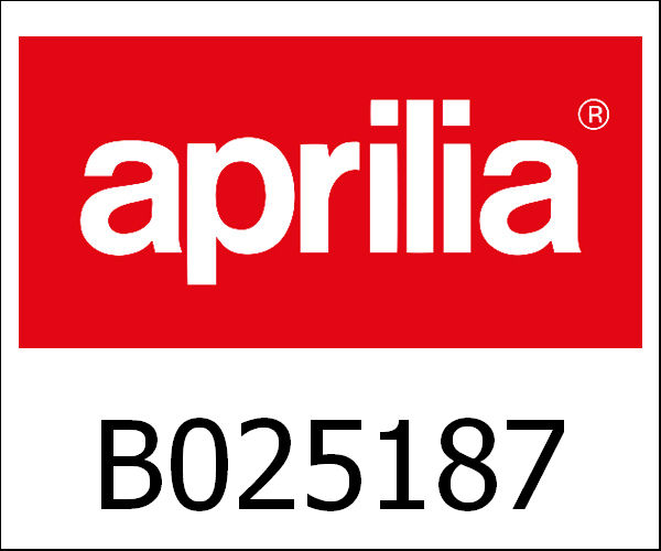 APRILIA / アプリリア純正 Complete Instrument|B025187
