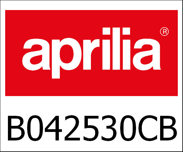 APRILIA / アプリリア純正 Complete Rear Deck|B042530CB