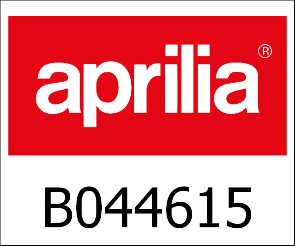 APRILIA / アプリリア純正 Main Wiring Harness|B044615